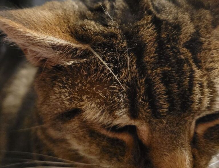 5 advantages of darkwarfall gaming