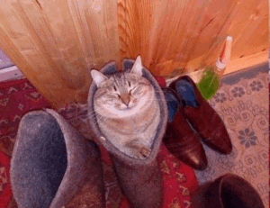 how to get over from game overdertoza addiction