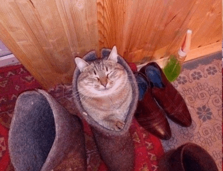 how to get over from game overdertoza addiction