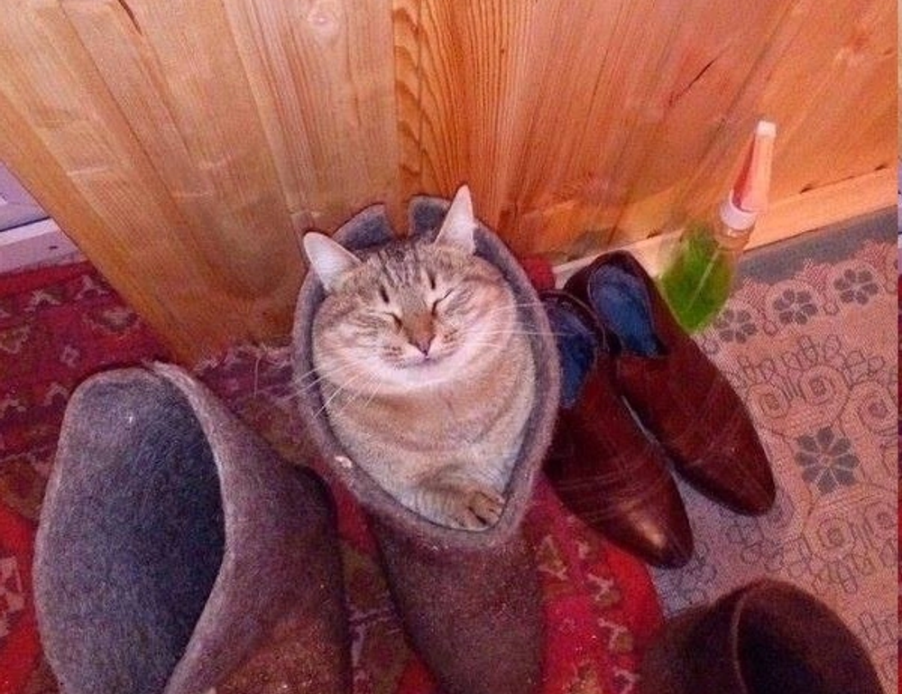 how to get over from game overdertoza addiction