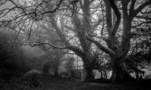 keto diet plan tweeklynutrition