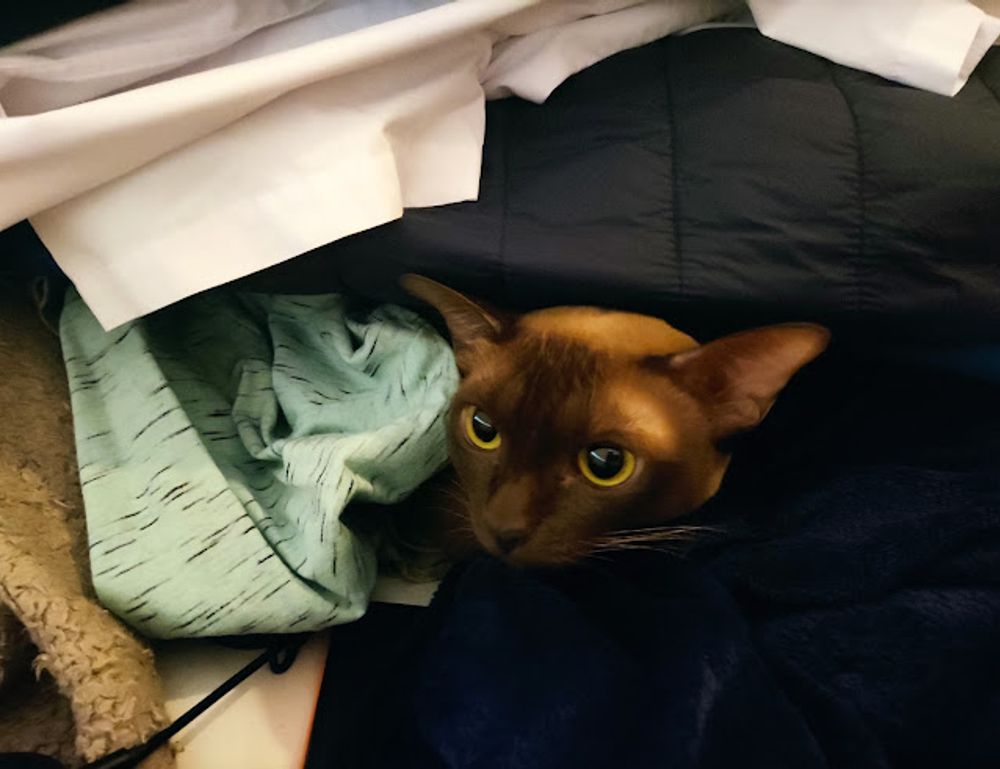 valan slap845 old version