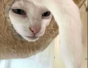 why anglehozary cave diving is dangerous