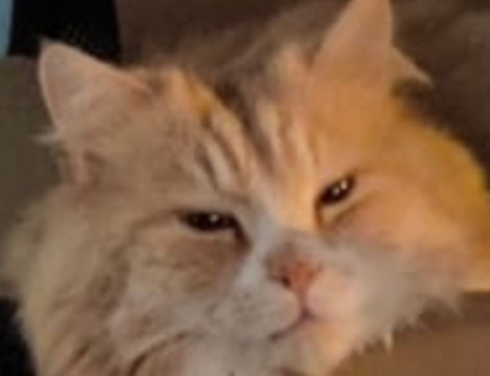 why is my yex382v3yte air conditioner not working