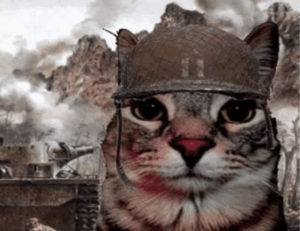 why python genboostermark is used in cyber security