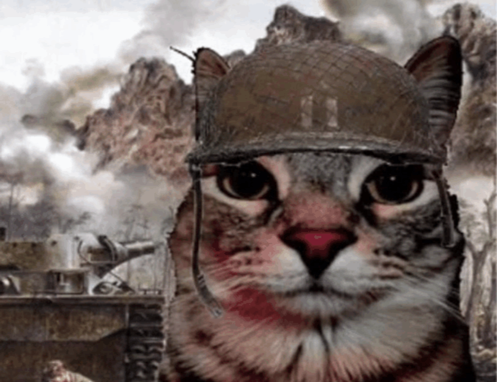 why python genboostermark is used in cyber security