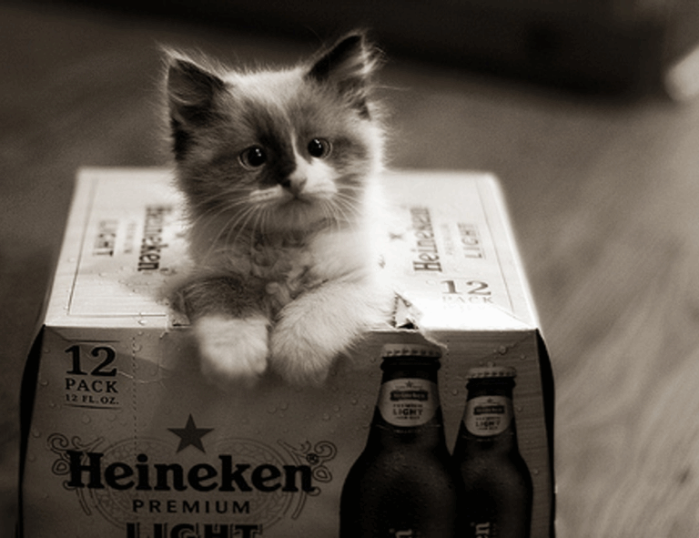 how can i prevent pavatalgia disease