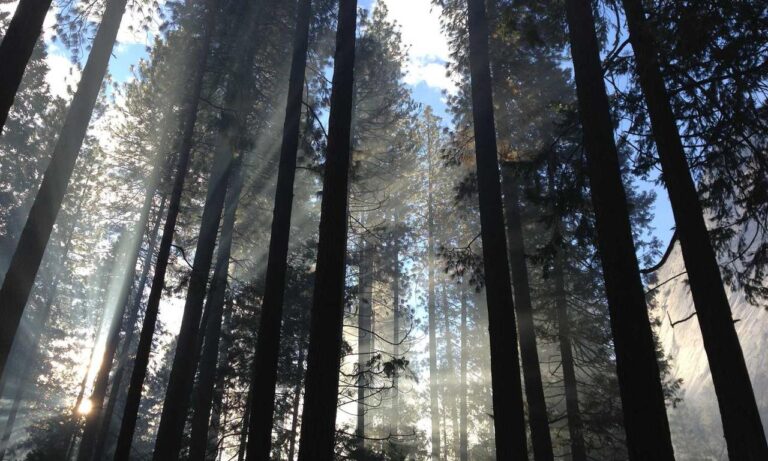 how long can i live with pavatalgia