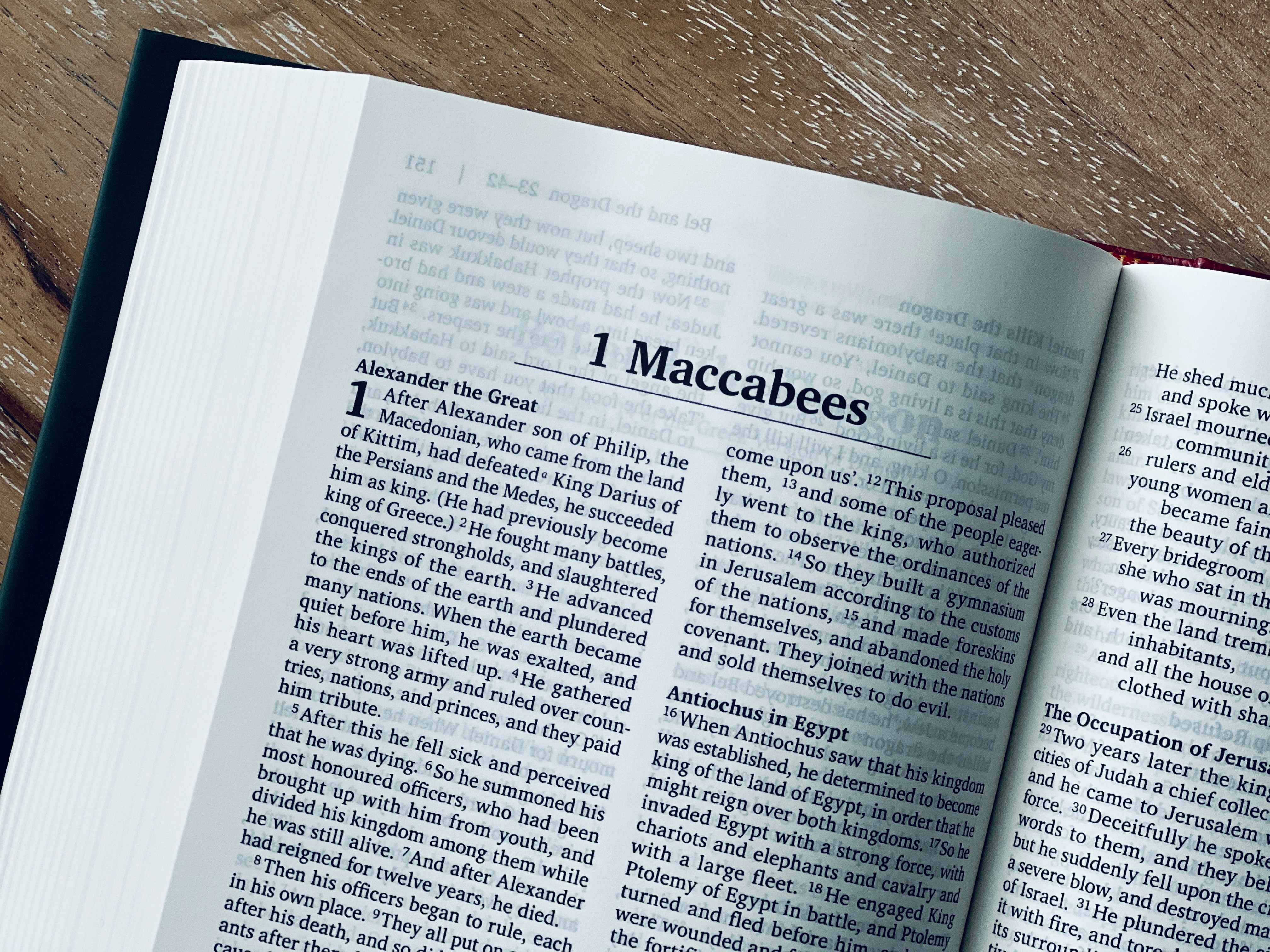 macronutrient basics