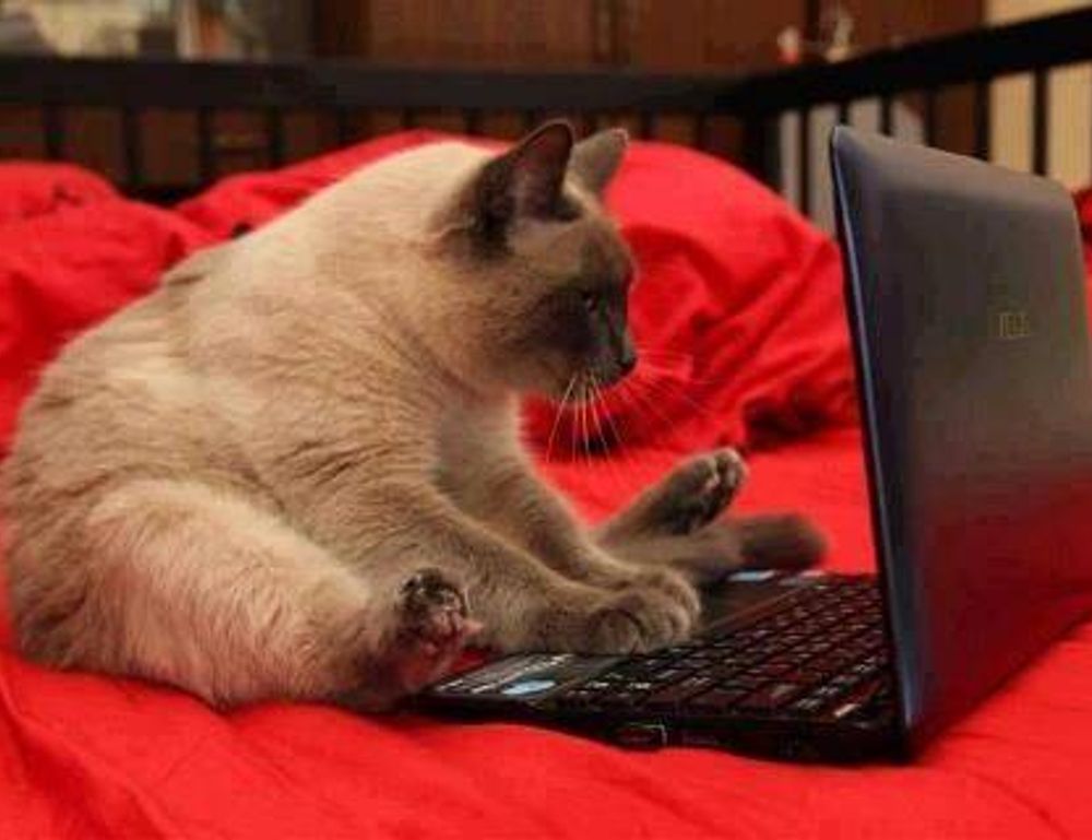 why homorzopia disease bad