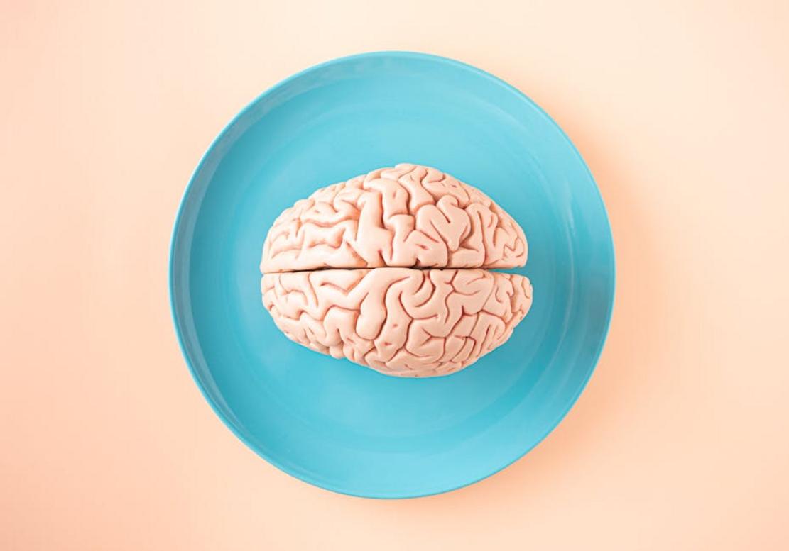 brain nutrition