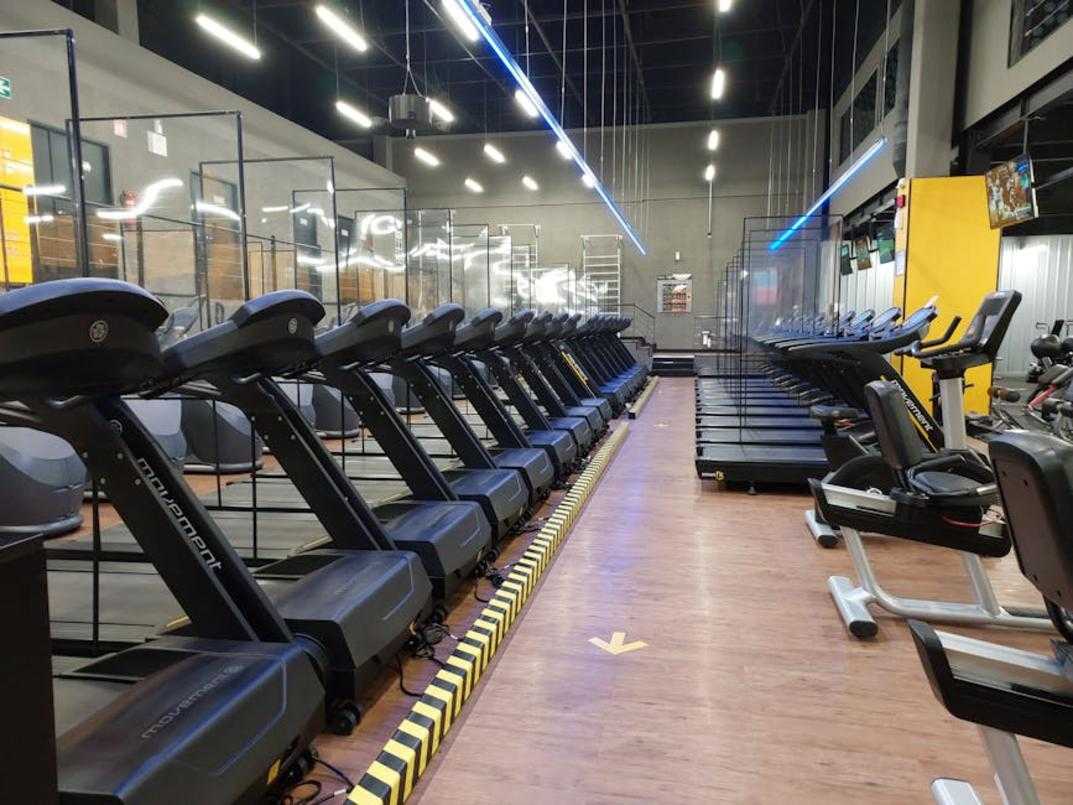 Treadmill Guide Tweeklynutrition
