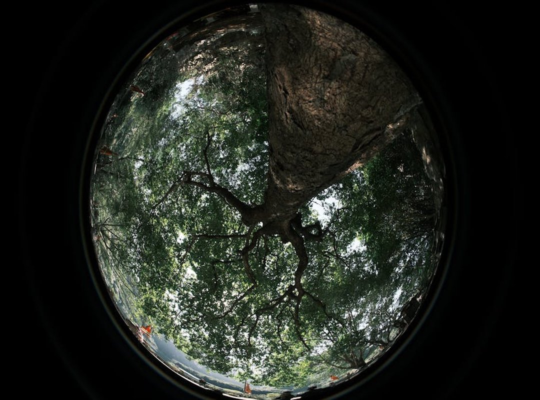 What Causes Zydaisis Disease to Flare Up