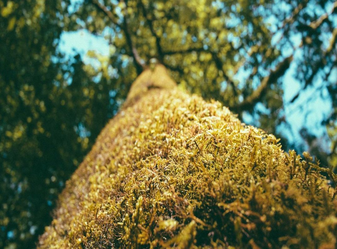 The Right Time and Place: When Is Aquarius a Smart Choice?