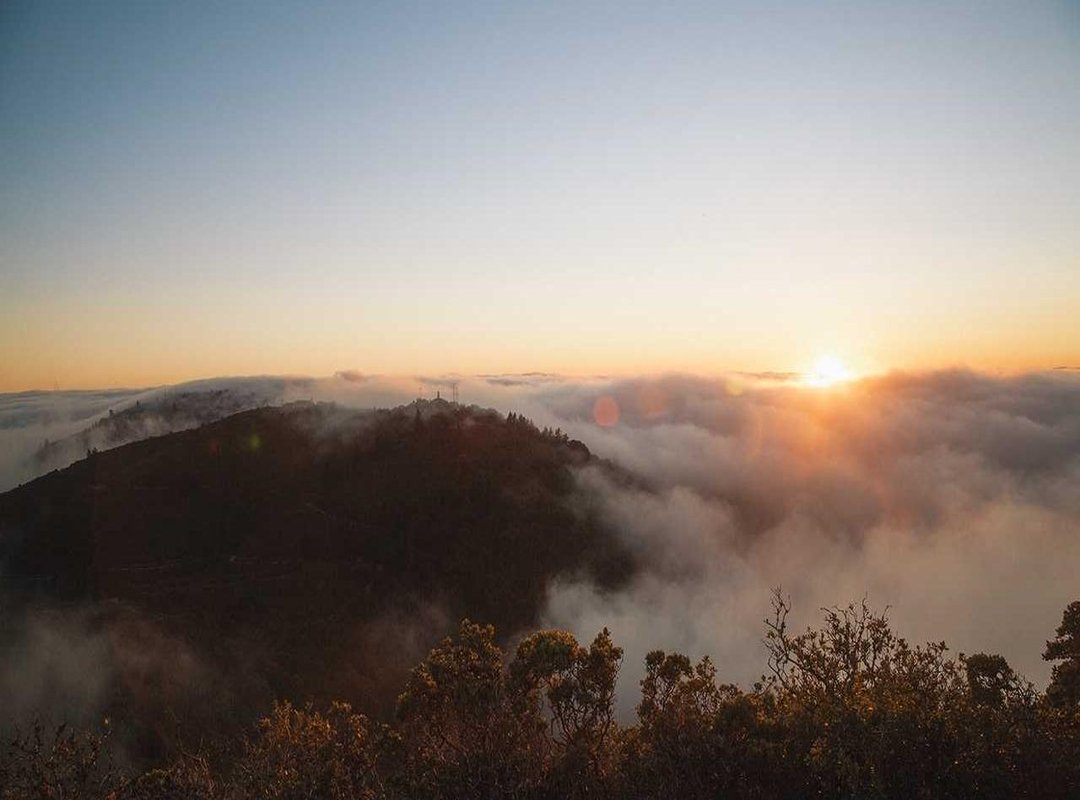 Community Buzz: Top Fan Theories and Reactions After Chapter 40