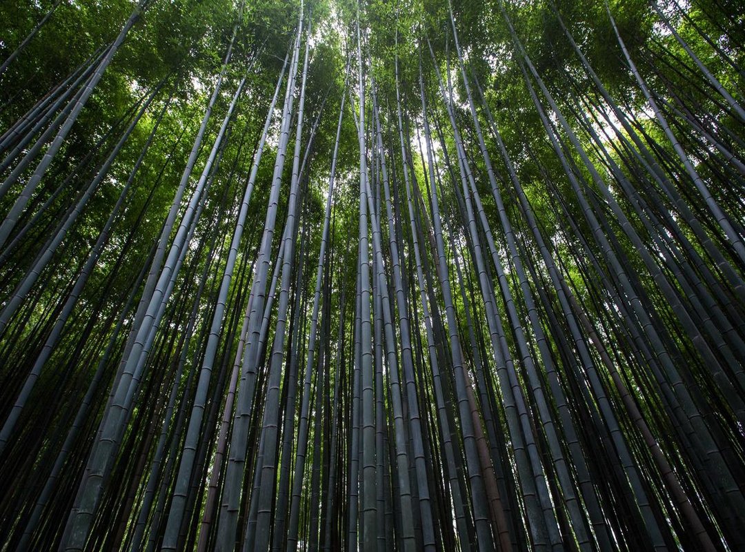 Finding the Conversation: Key Accounts and Hashtags to Follow