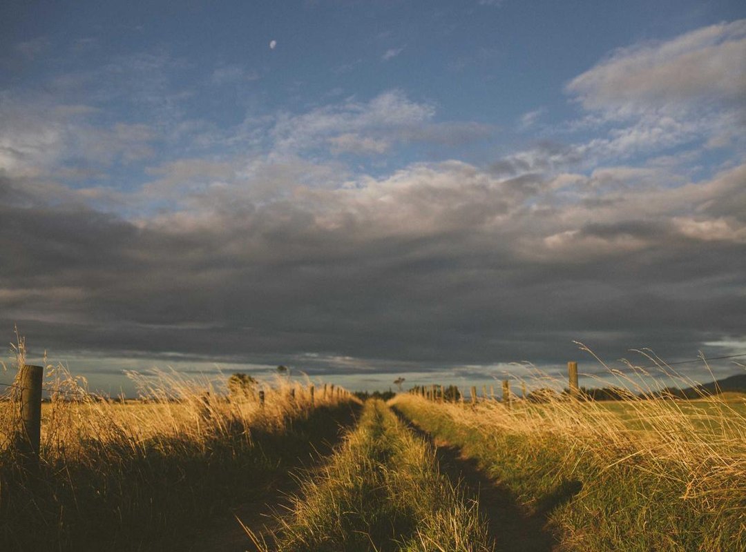 From Insult to Icon: Doris's Role and Fan Reception