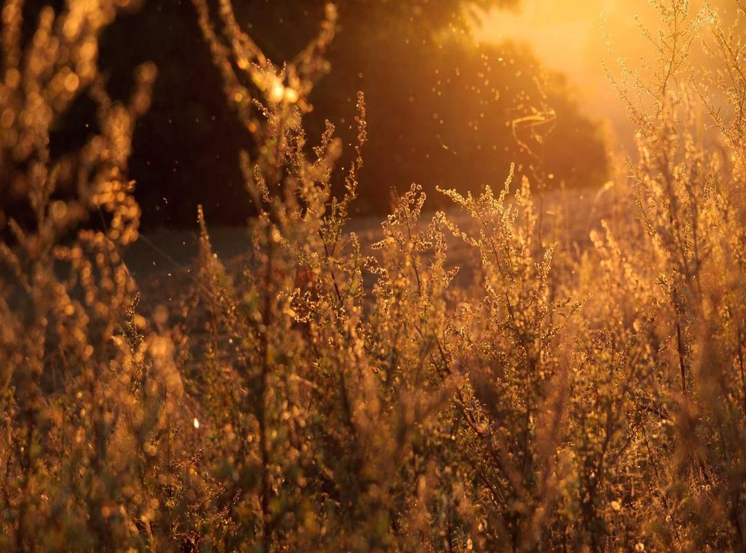 Beyond the Posts: Community and Interaction