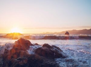 ogomovies
