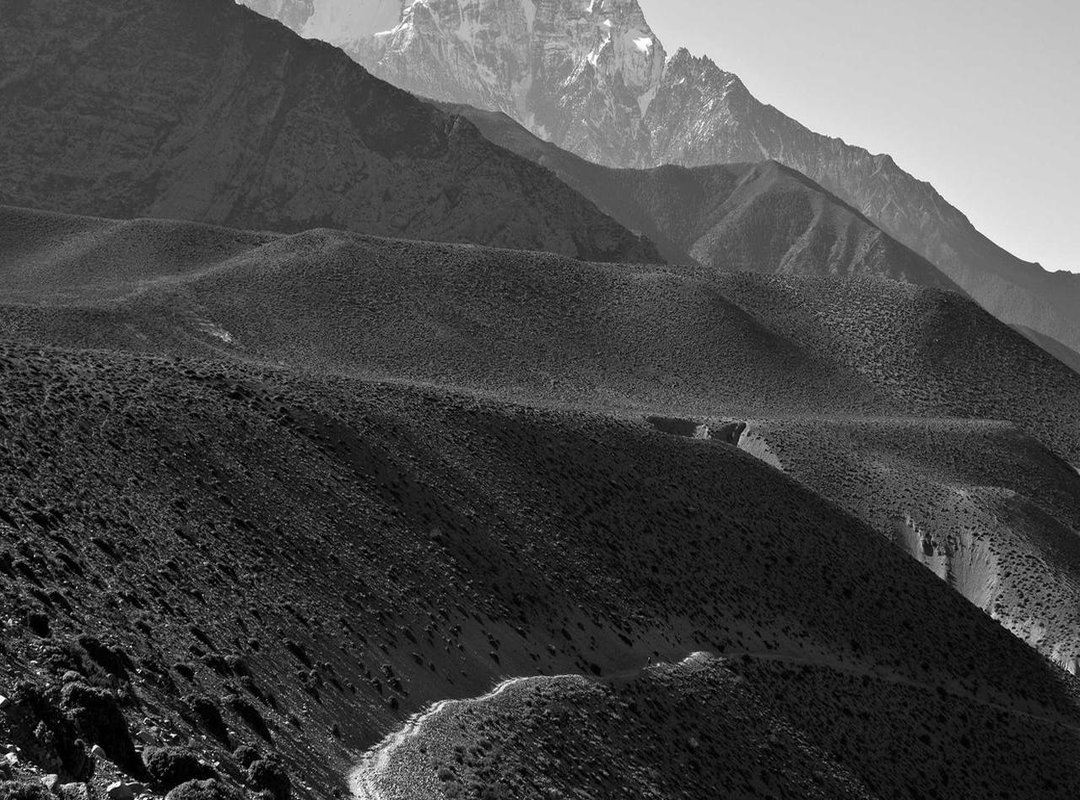 Beyond the Public Eye: Personal Interests and Influence