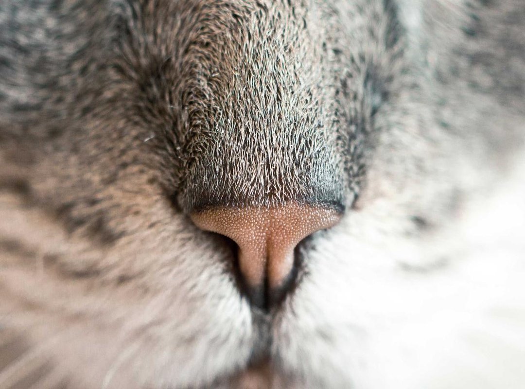 The Hidden Risks: What to Watch Out For