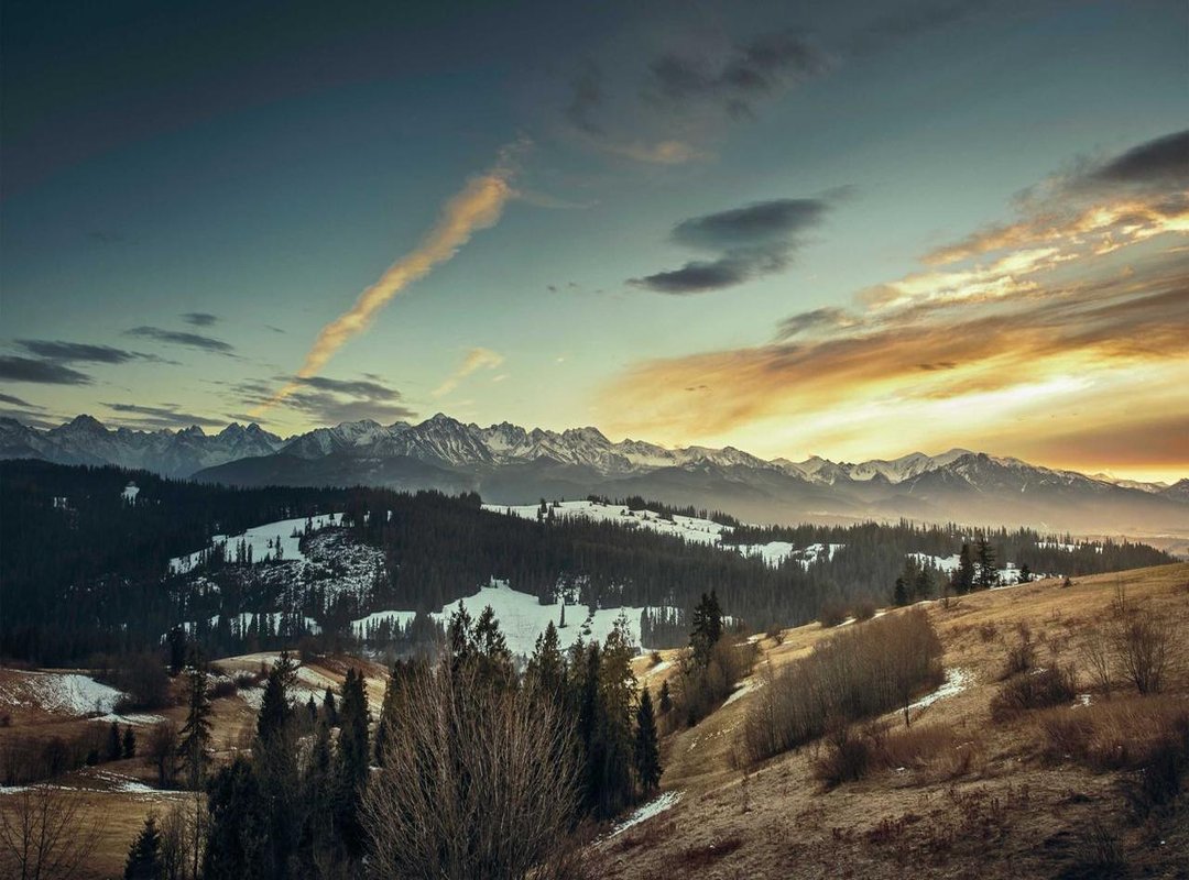 Freeze Frame: The Best of Westcol's On-Stream Reactions